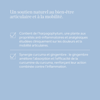 Cura Confort Articular