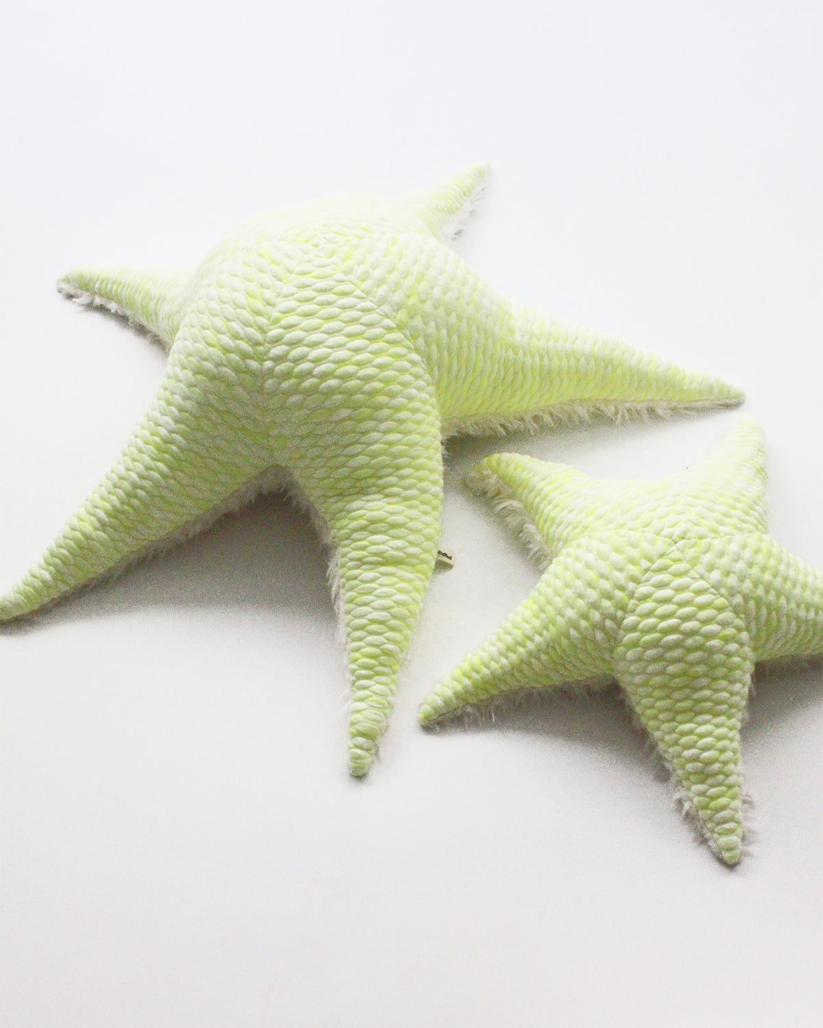 The Starfish