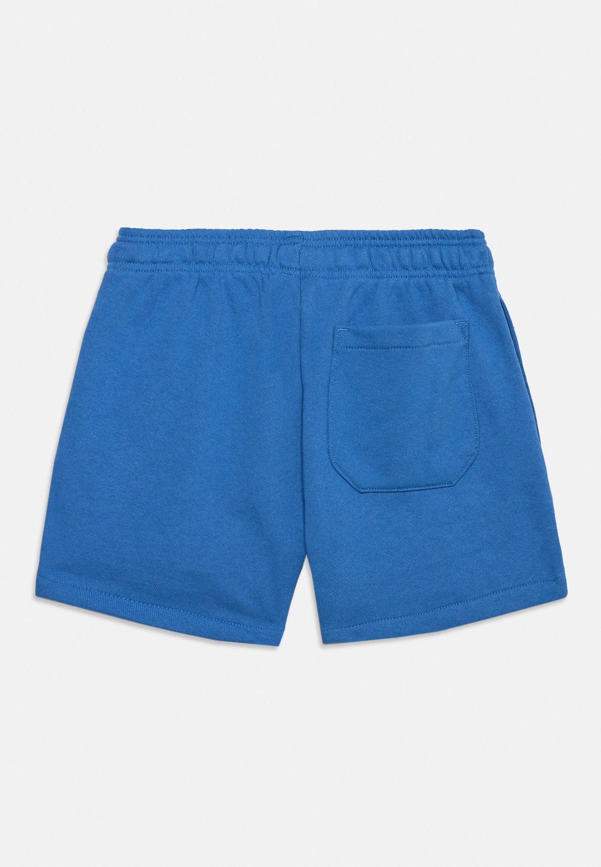 Dickies Youth Mapleton Sweatshorts - Blue Shorts S - Delft