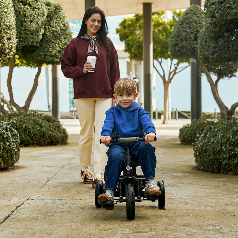 Aston 2 Plus Tricycle, Green