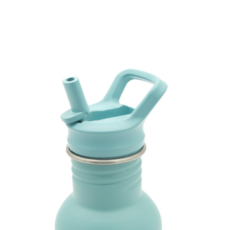 500 ml Water Bottle - The Polar Bear