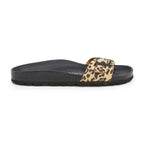 Brown Sandals - Women
