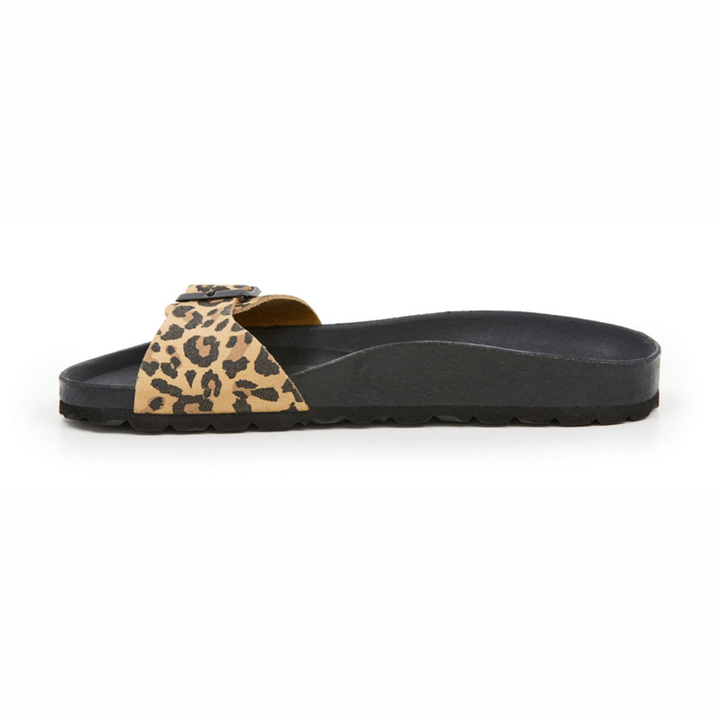 Brown Sandals - Women