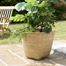 Hector - Pot De Fleur - Bambou - Gris/Bois Clair