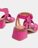 Fred Fucsia