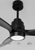 Wind Stylance - Ventilateur De Plafond 40W Silencieux 100% Bois - Noir
