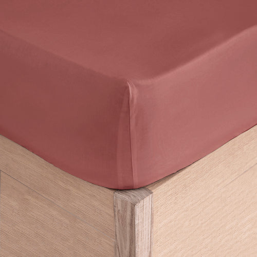 Fitted Sheet (With Elastic) - Pure - 100% Cotton Percale - Blush