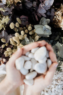 Natural Flowers - Eucalyptus - Green