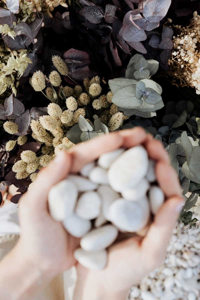 Natural Flowers - Eucalyptus - Green