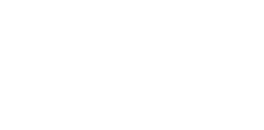 Logo IRO