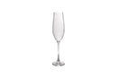 Saga - Set De 4 Verres À Champagne - Crystalline Glass - Transparent