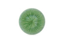 Eclipse - Set De 4 Assiettes Plates - Grès - Turquoise