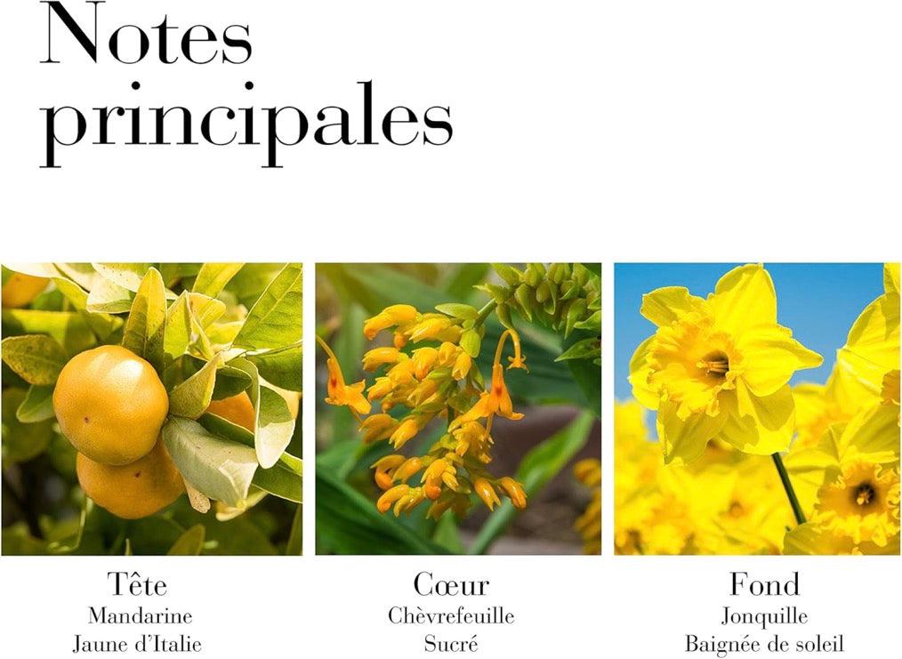 Eau De Toilette - Sunflowers Sunrise