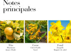 Eau De Toilette - Sunflowers Sunrise