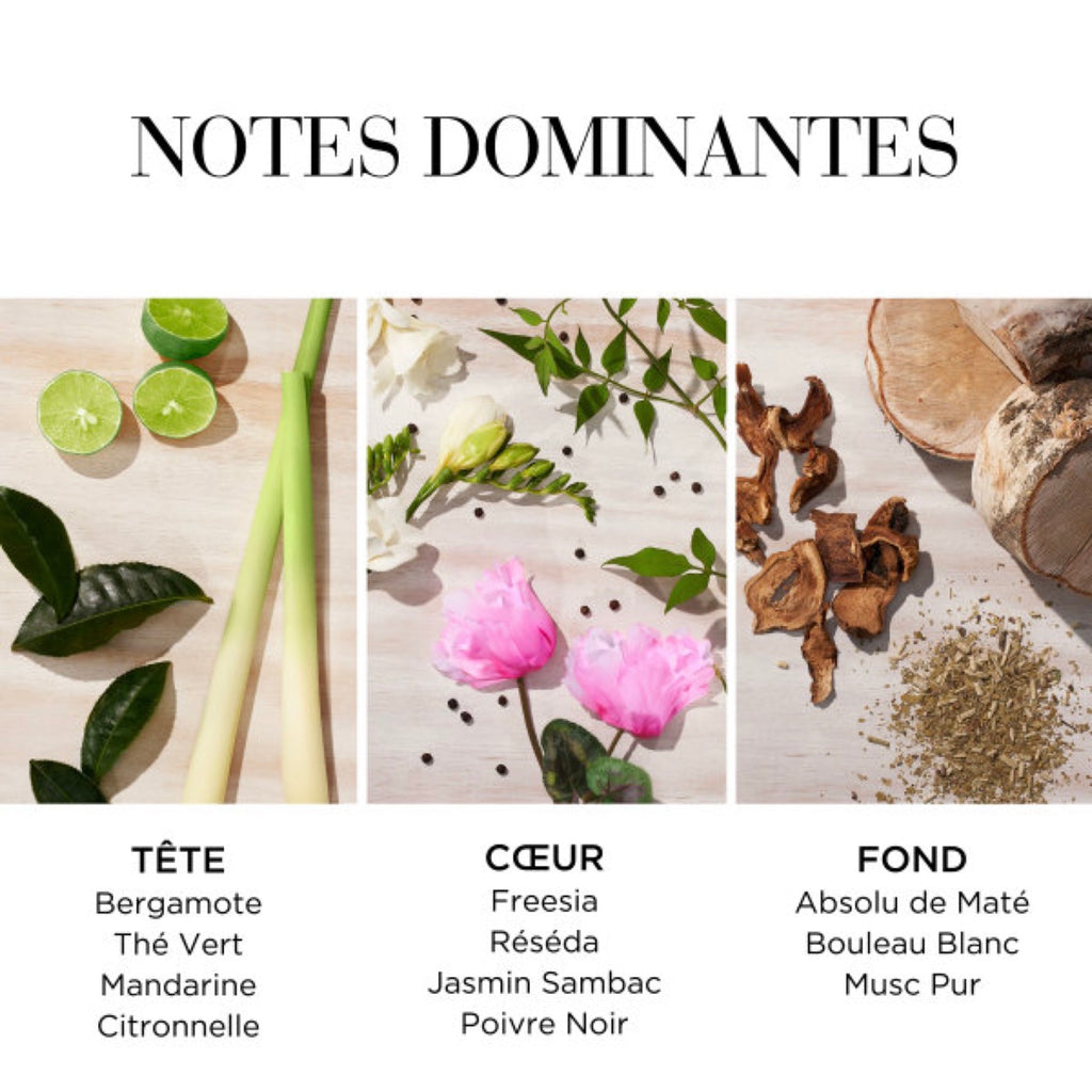 Eau De Toilette - Green Tea Citron Freesia