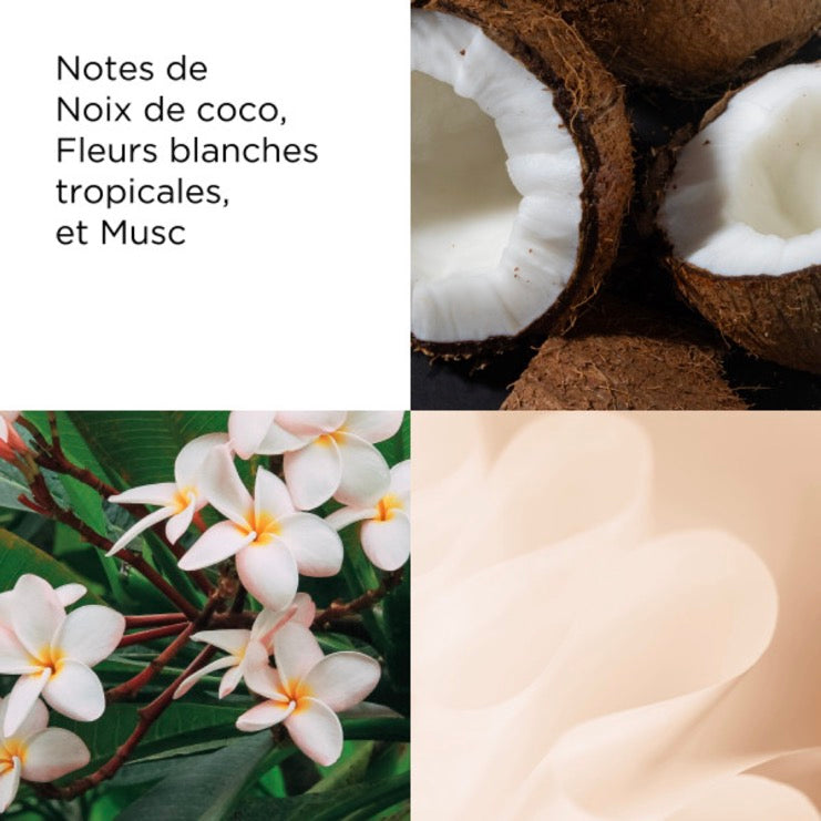 Eau De Toilette - Coconut Breeze