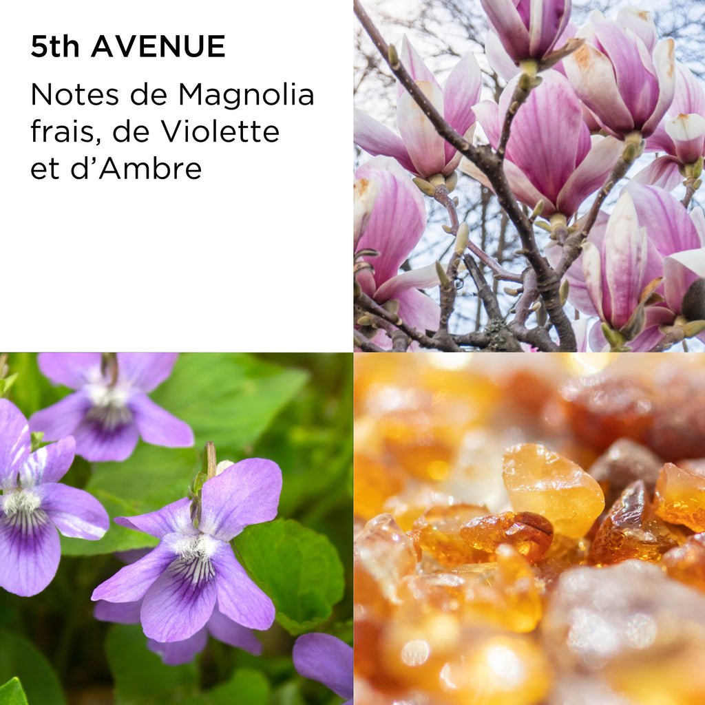 Coffret Eau De Toilette Et Crème Corps - 5Th Avenue