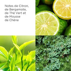 Gel Énergisant - Green Tea