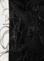 Robe Emmanchures Américaines Ornement Plumes