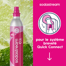 Lot - Cylindre Supplémentaire Original Co² 60L & Tablettes De Nettoyage x10