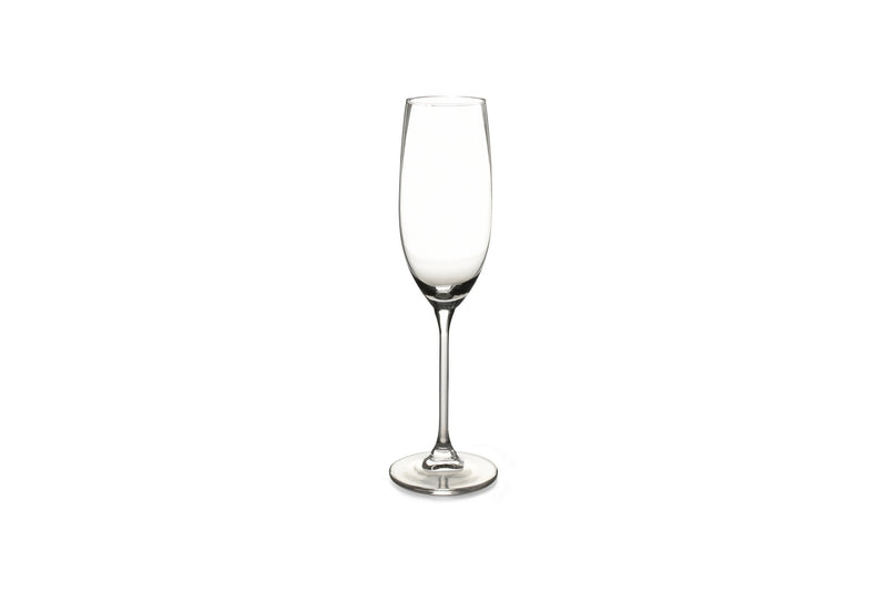 Tinta - Set De 6 Verres À Champagne - Verre - Transparent