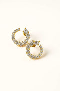 Earrings #80