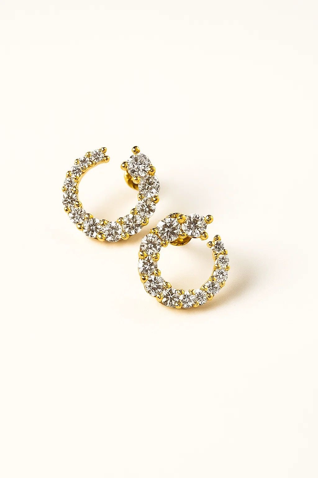 Earrings #80