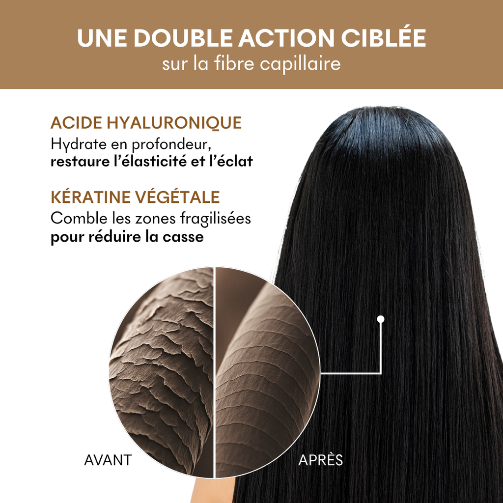 Dry & Damaged Hair Protocol