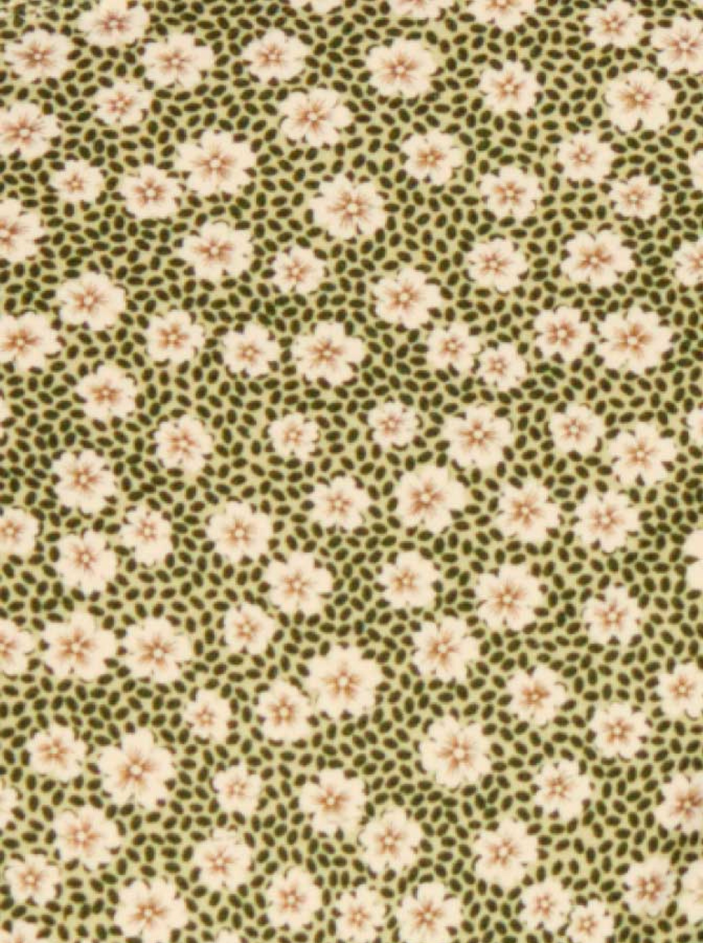 Tanga Muy Escotado Swim Blooming Green