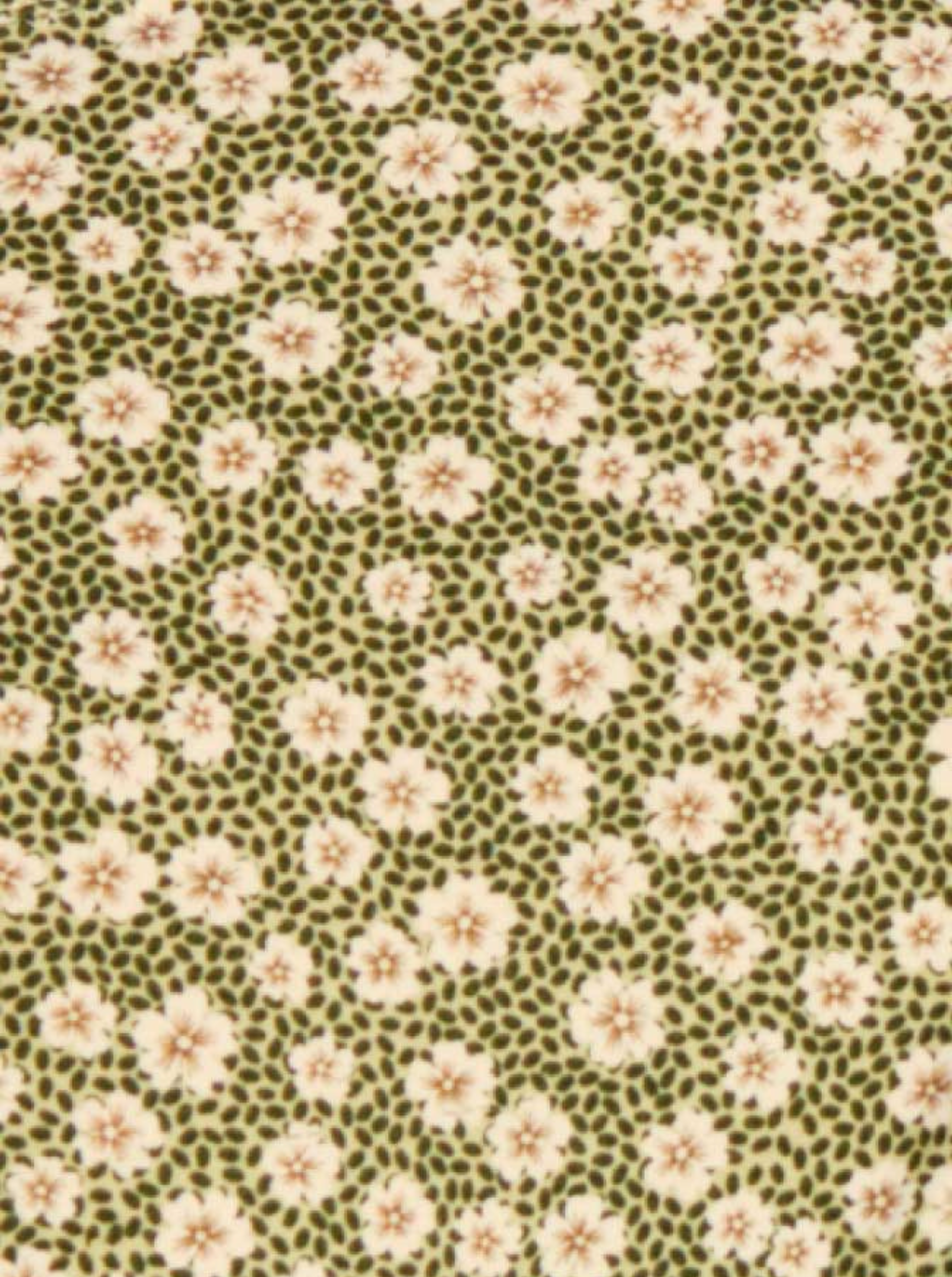Tanga Muy Escotado Swim Blooming Green
