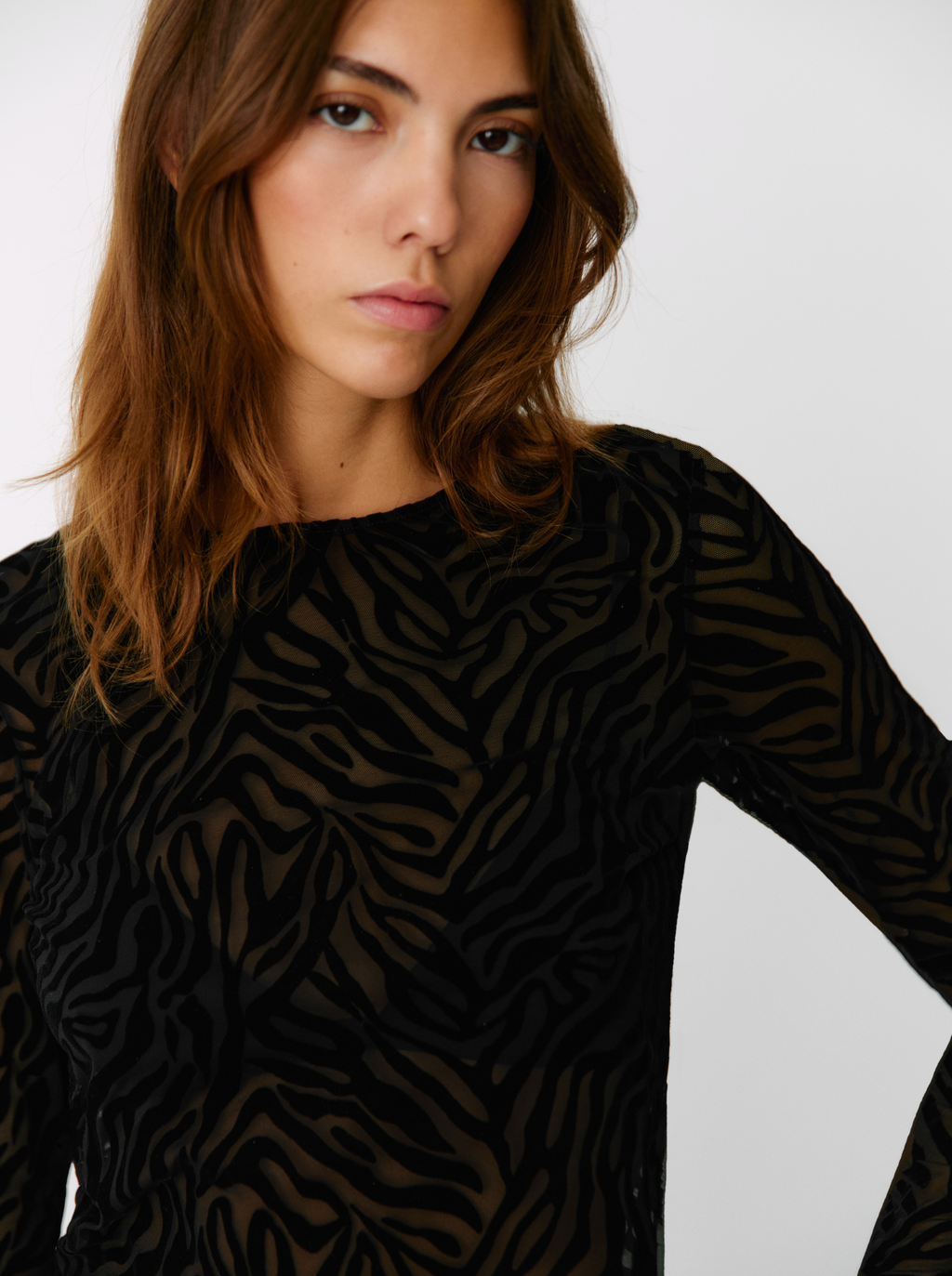 Top Velvet Zebra