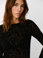 Top Velvet Zebra