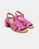 Alosa Fucsia