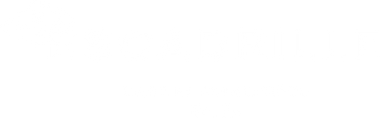 Logo Escadrille