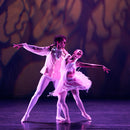 Carte-Cadeau We Call It Ballet - Spectacle Ballet - 1 personne