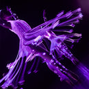 Carte-Cadeau We Call It Ballet - Spectacle Ballet - 1 personne