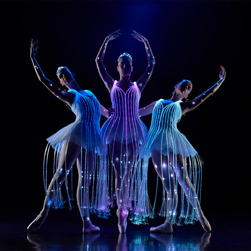 Carte-Cadeau We Call It Ballet - Spectacle Ballet - 2 personnes