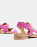 Gobio Fucsia