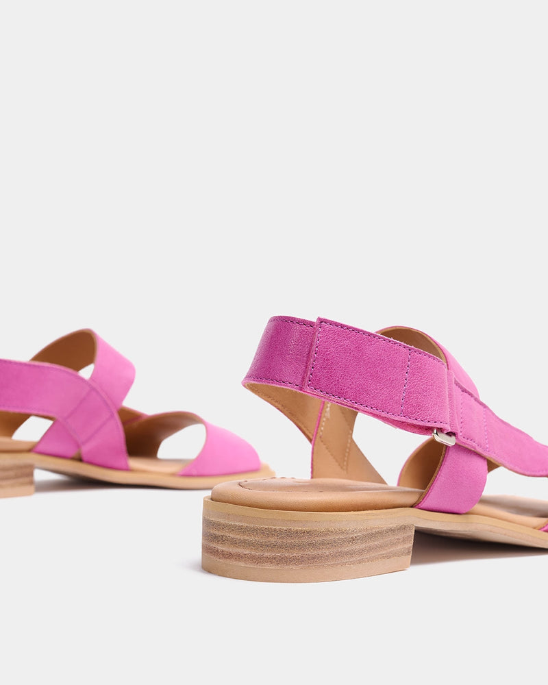 Gobio Fucsia