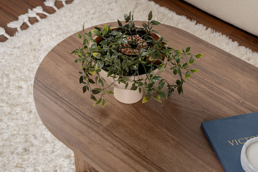 Sable - Mesa de Centro - Venezia Walnut