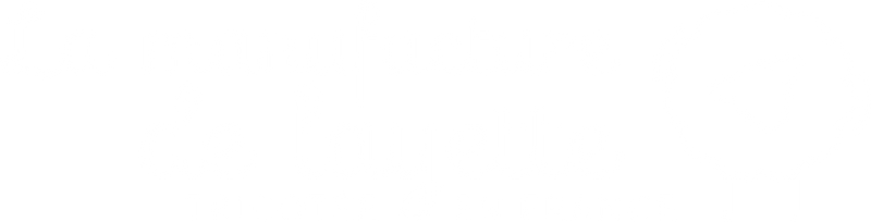 https://visuals.thebradery.com/operations/01a10c5f-6c89-7682-a44c-29de71a37d5c/visuals/LOGO/913b712f-4835-44b2-8a6f-d3f766ab51f8.png