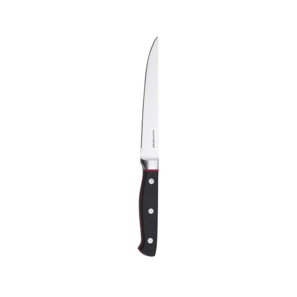 Hiro - Gam'Hotel - Couteau À Légumes - 25Cm - Noir/Rouge