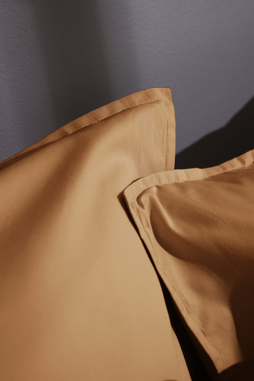 Taie D'Oreiller Percale Unie - 100% Coton - Bally - Havane