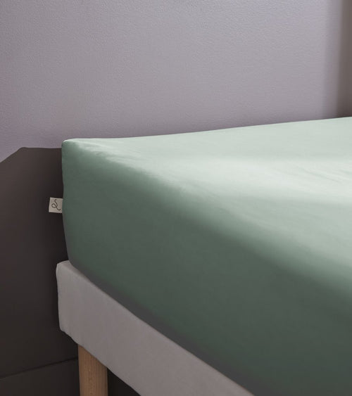Drap Housse Percale Unie - 100% Coton - Bally - Céladon