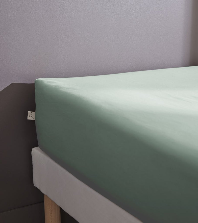 Plain Percale Fitted Sheet - 100% Cotton - Bally - Celadon