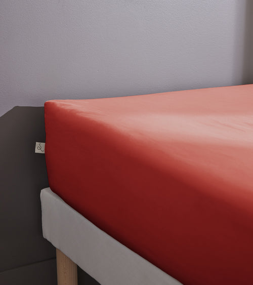 Drap Housse Percale Unie - 100% Coton - Bally - Terre De Sienne
