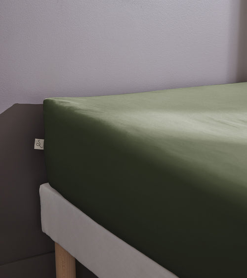 Drap Housse Percale Unie - 100% Coton - Bally - Thym