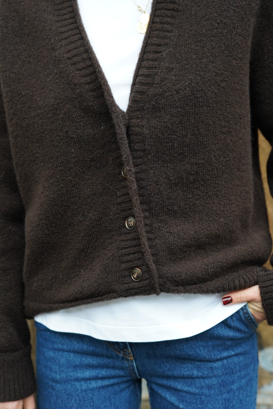 Stanislas Chocolate Vest