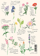 Lot De Deux Carnets A4 - Fleurs Et Paris - Zoé de Las Cases