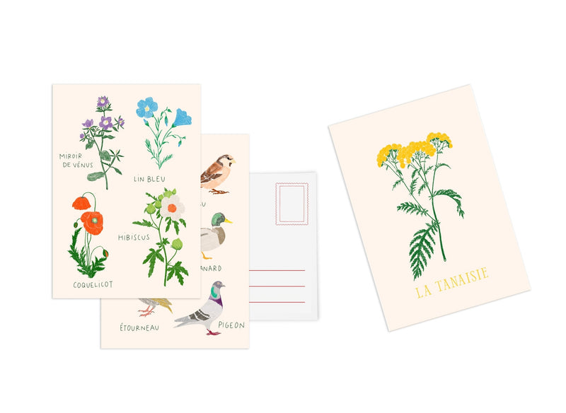 Set De 10 Cartes Postales Fleurs - Zoé De Las Cases
